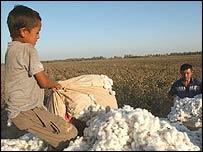 kids picking cotton